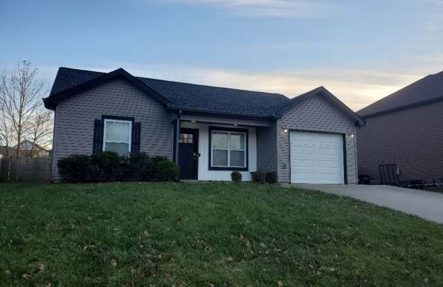 3 Bedroom 2 Full Bath Dog Friendly Home For Rent! photos photos