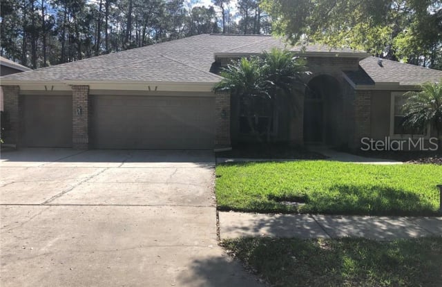 4739 WRENTHAM PLACE - 4739 Wrentham Place, East Lake, FL 34685