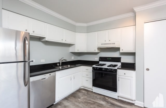 571 West Stratford Place - 571 West Stratford Place, Chicago, IL 60657