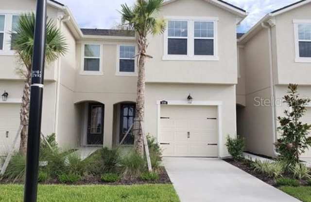 11708 CAMBIUM CROWN DRIVE - 11708 Cambium Crown Dr, Riverview, FL 33569