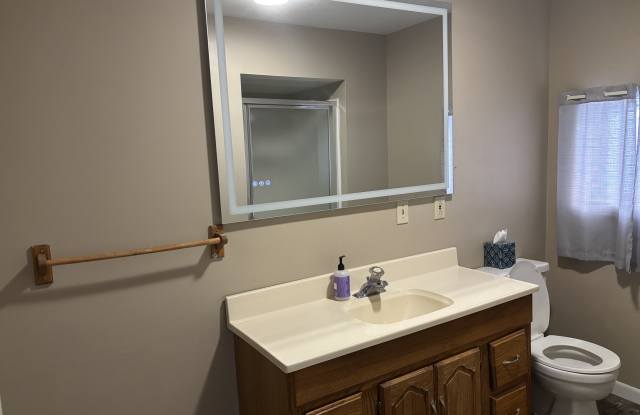 130 Grafton Avenue - 130 Grafton Avenue, Alma, MI 48801