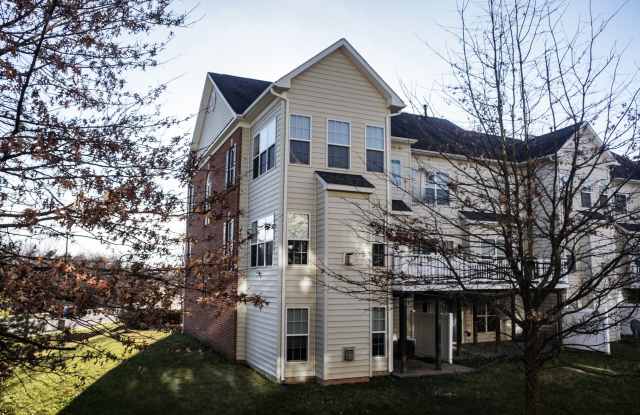 9853 Snow Bird Lane - 1 Gallery 3