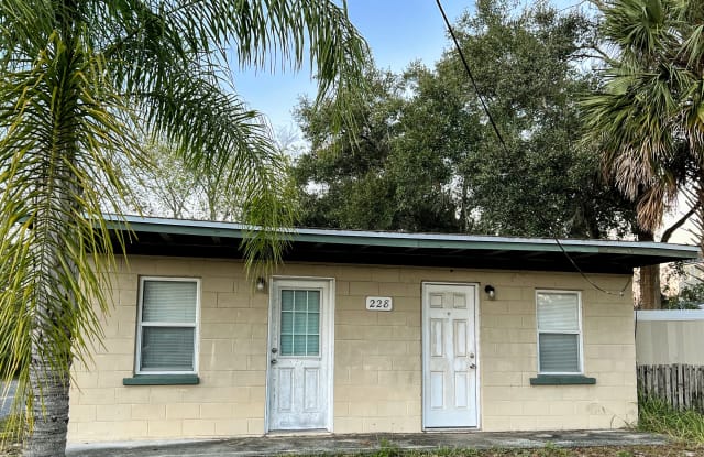 228 Chestnut St - 228 Chestnut Street, Clermont, FL 34711