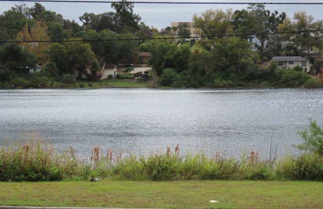 2br/2ba Duplex with Lakeview Gallery 3