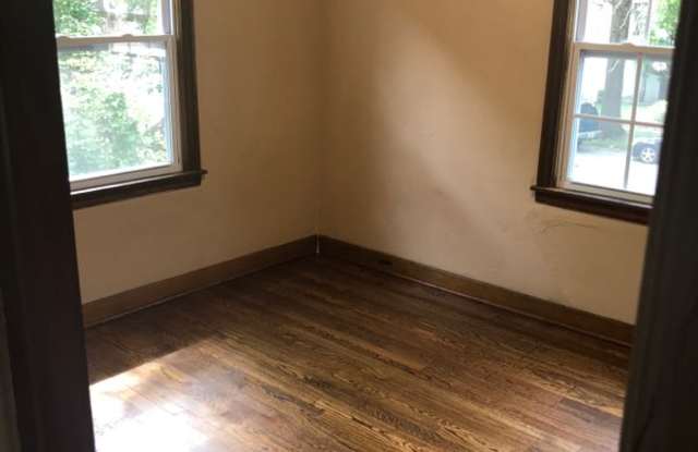 420 Olive photos photos