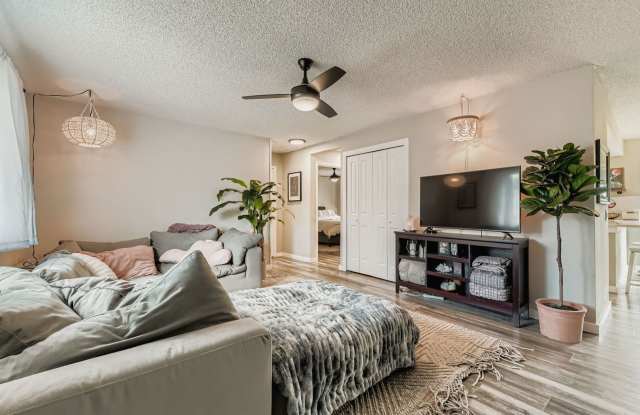 Charming 3 bed/1 bath Broomfield Home - Available December 20th! Gallery 4