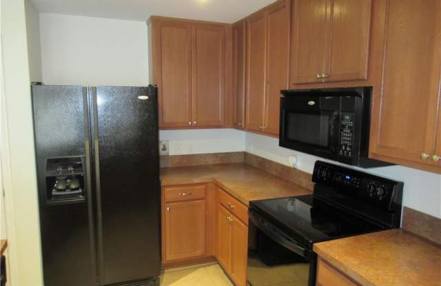 15130 Piping Plover CT Gallery 3
