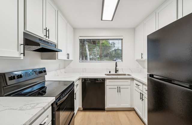 Renew Alpine photos photos Renew Alpine photos photos