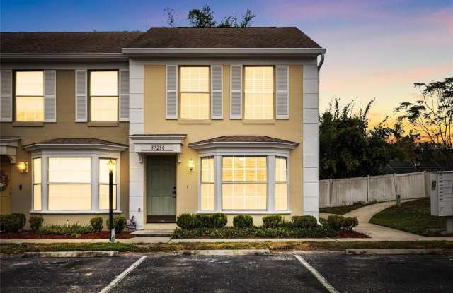 37250 EMBASSY PARK LANE - 37250 Embassy Park Lane, Dade City, FL 33525