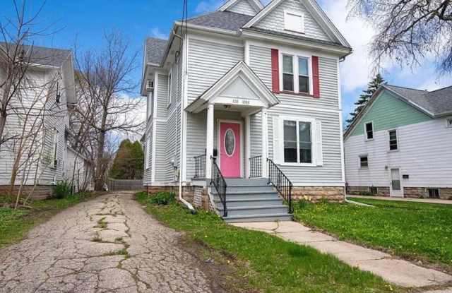 238 Scott Avenue - Lower Gallery 1