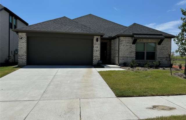 1708 Dove photos photos