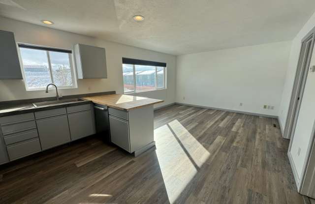 Bright, newly remodeled 3 Bed 2 Bath condo Gallery 3