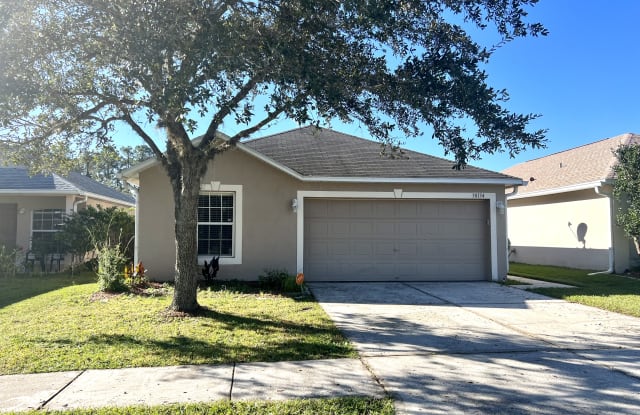 30134 Rattana Ct - 30134 Rattana Court, Wesley Chapel, FL 33545