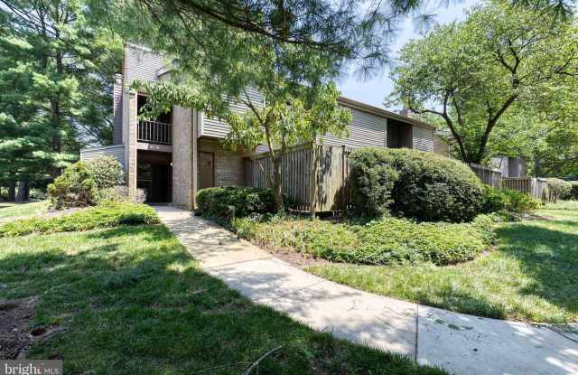 10564 CROSS FOX Lane Gallery 1