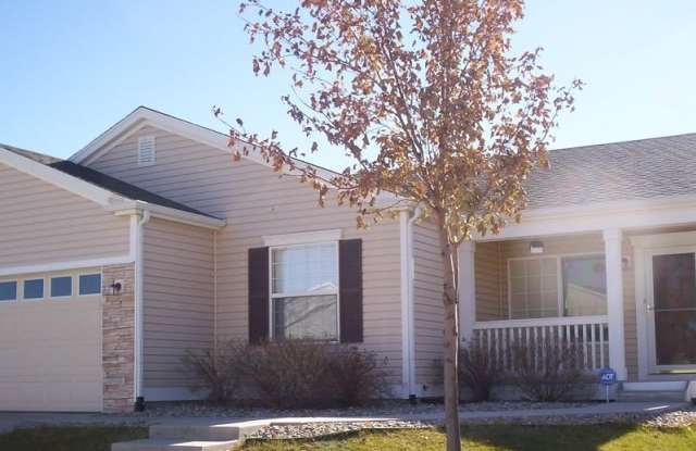 North-east one level living. photos photos