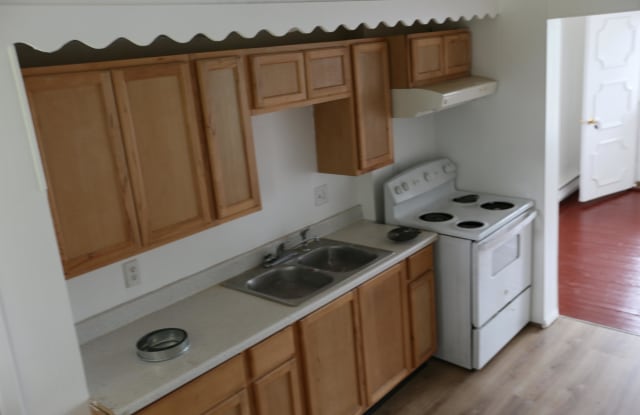 437 East Avenue - 437 East Avenue, Mount Carmel, PA 17851