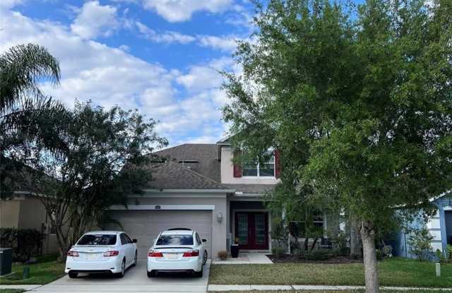 12617 SAWGRASS OAK STREET - 12617 Sawgrass Oak Street, Meadow Woods, FL 32824