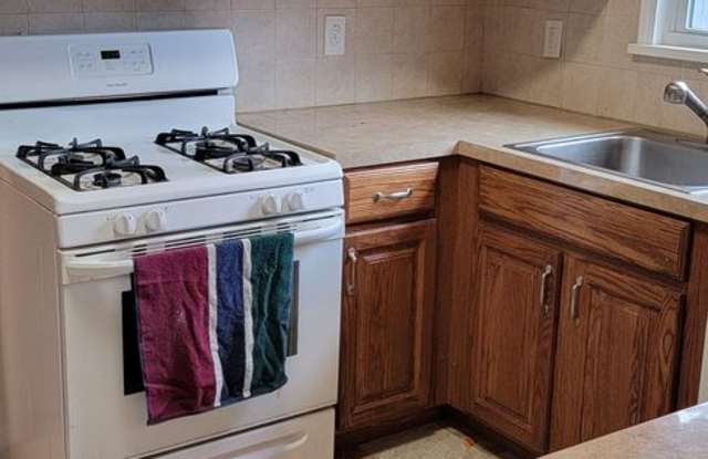 1141 Hickory - 1141 Hickory Street, Grafton, OH 44044