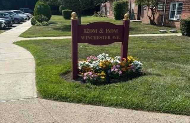 12 Winchester Avenue unit: Dm photos photos