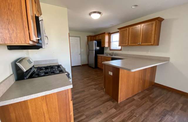 Perfect 3 Bedroom Executive Home in New Paris! Gallery 4