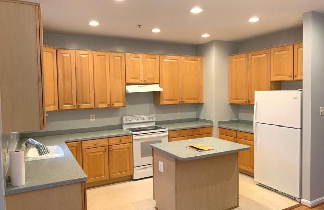 13728 HARVEST GLEN WAY Gallery 3