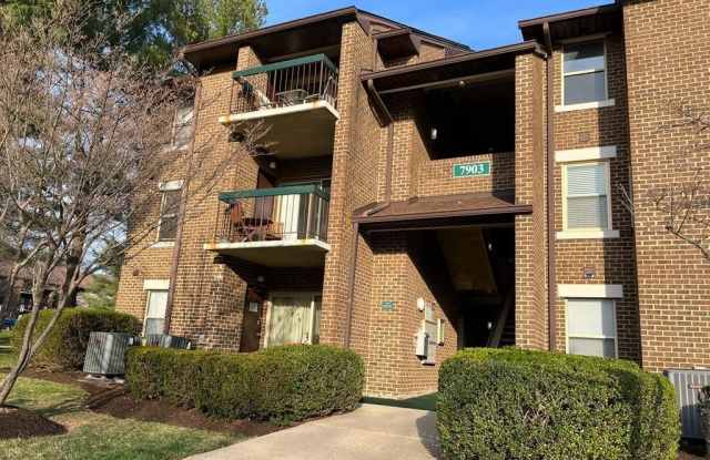 7903 BADENLOCH WAY #203 Gallery 1