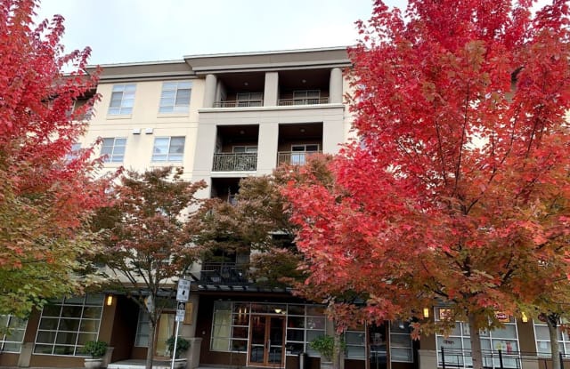 111 108th Ave NE #A209 - 111 108th Avenue Southeast, Bellevue, WA 98004
