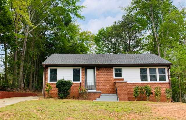 Prime downtown location, newly renovated, 3 bed, 2 full baths, hardwood floors, updated kitchen, large, level and private yard! photos photos