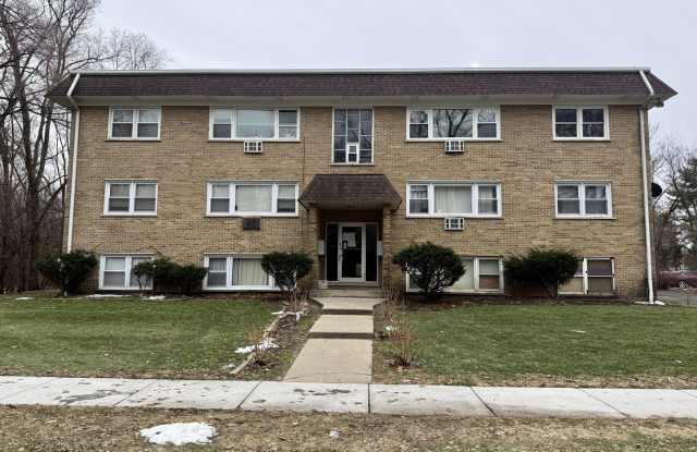 255 E OAK Street unit: 8 - 255 East Oak Street, Addison, IL 60101
