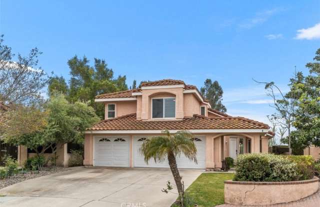 1 Santa Catrina photos photos