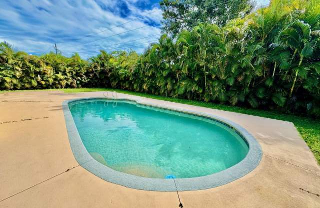 2917 Rollins Street photos photos