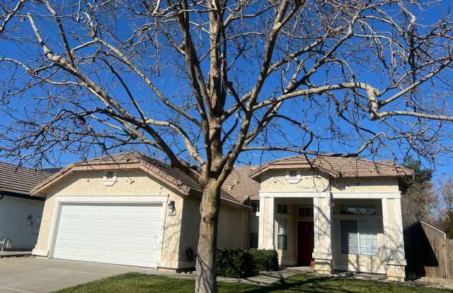 Great Area - 480 Stern Drive, Dixon, CA 95620