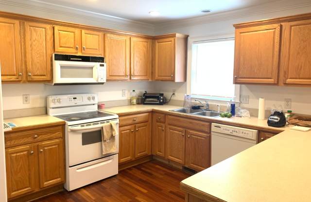 "Pre-Leasing August 2027" Large House Near Downtown Athens! Gallery 4