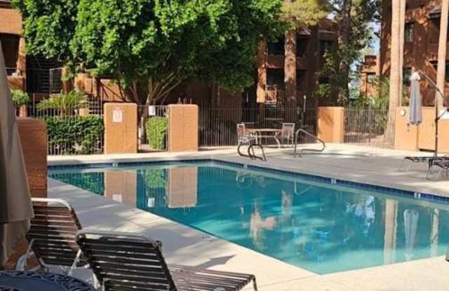 4704 E Paradise Village Parkway N unit: 121 photos photos