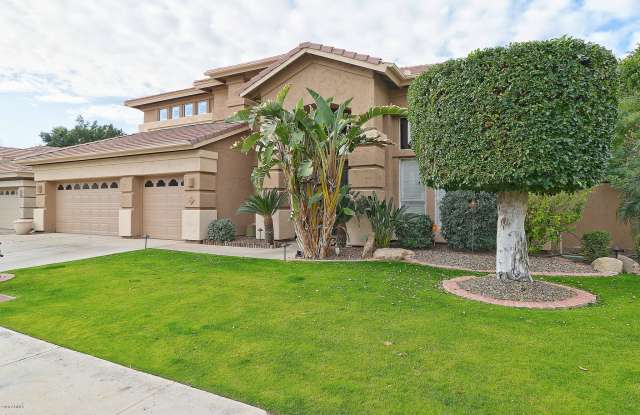 6523 W VIA MONTOYA Drive Gallery 2