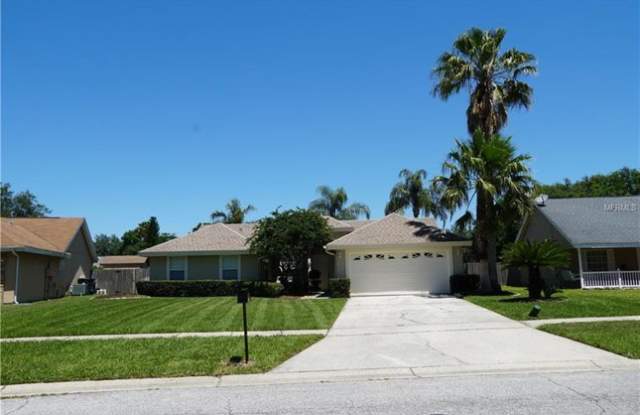 2534 Dovetail Drive - 2534 Dovetail Drive, Ocoee, FL 34761