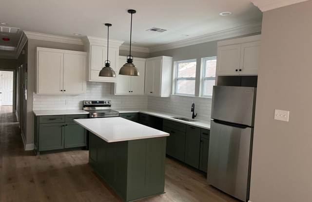 3 bedrooms 1 bath - Mid City - Streetcar Access! Gallery 3