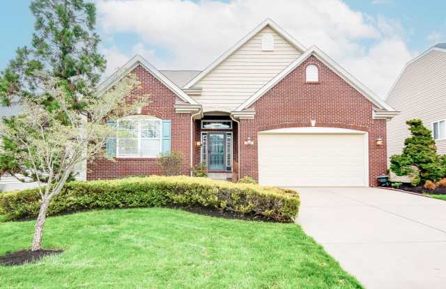 East Jefferson Large Home For Rent Gallery 1