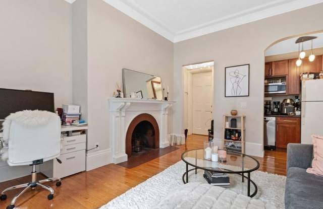 Elegance and eastern architecture with views of Old South church. - 271 Dartmouth Street, Boston, MA 02116