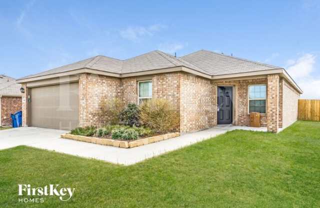 313 Plum Drive - 313 Plum Drive, Josephine, TX 75173
