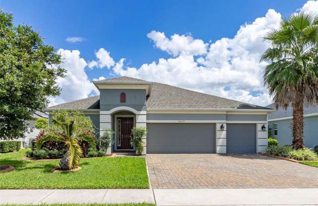 14229 SUNRIDGE BOULEVARD - 14229 Sunridge Boulevard, Winter Garden, FL 34787