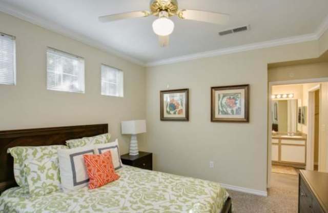 18232 Blanco Springs Gallery 2