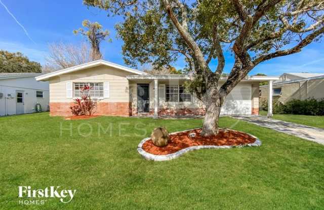 4125 Woodsville Drive - 4125 Woodsville Drive, Beacon Square, FL 34652