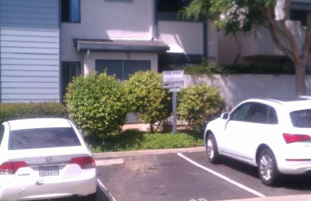 4084 Crystal Dawn Lane 203 Gallery 2