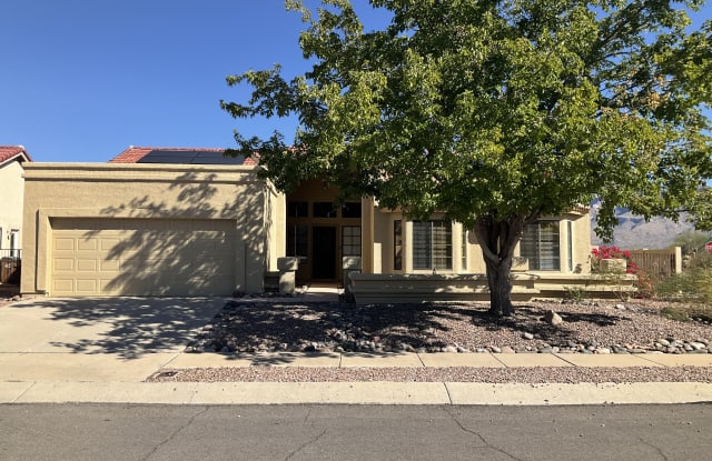 11500 N Lone Mountain Pl - 11500 North Lone Mountain Place, Oro Valley, AZ 85737