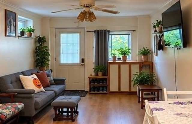 11 Malverne Road Gallery 2