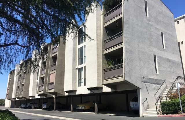 One Bedroom Condo in San Carlos!! photos photos