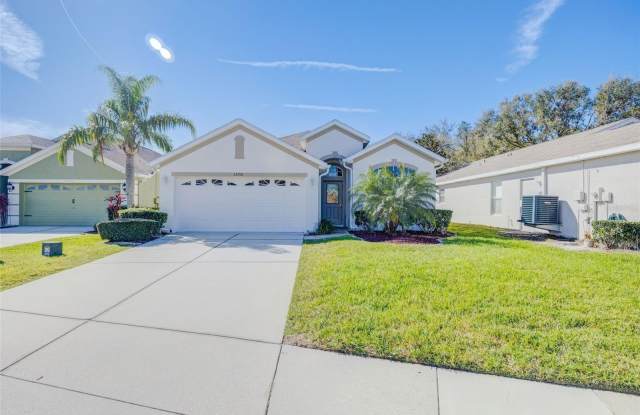 23708 CORAL RIDGE LANE - 23708 Coral Ridge Lane, Land O' Lakes, FL 34639