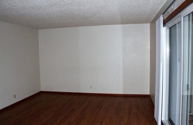 1 Bedroom in Beautiful Residential Area Close to Downtown Pet Friendly Gallery 3