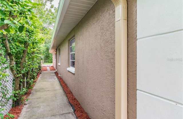 411 E LUTZ LAKE FERN ROAD Gallery 4
